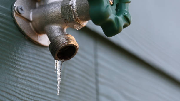 Best Emergency Plumber  in Whitesboro, AL