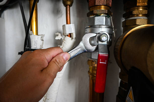 Best Sewer Cleaning Services  in Whitesboro, AL